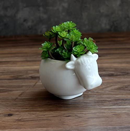 Miniature planters